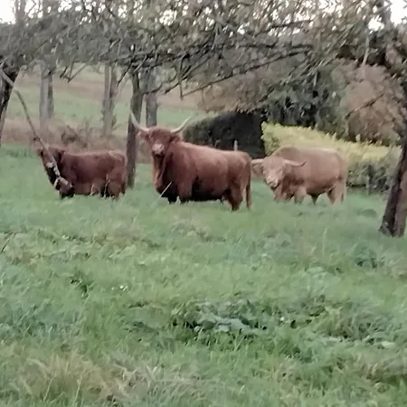 Détente à La Campagne *