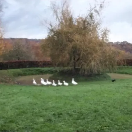 Détente à La Campagne * Saint-Eustache-la-Foret